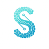 SaltSolutions Logo